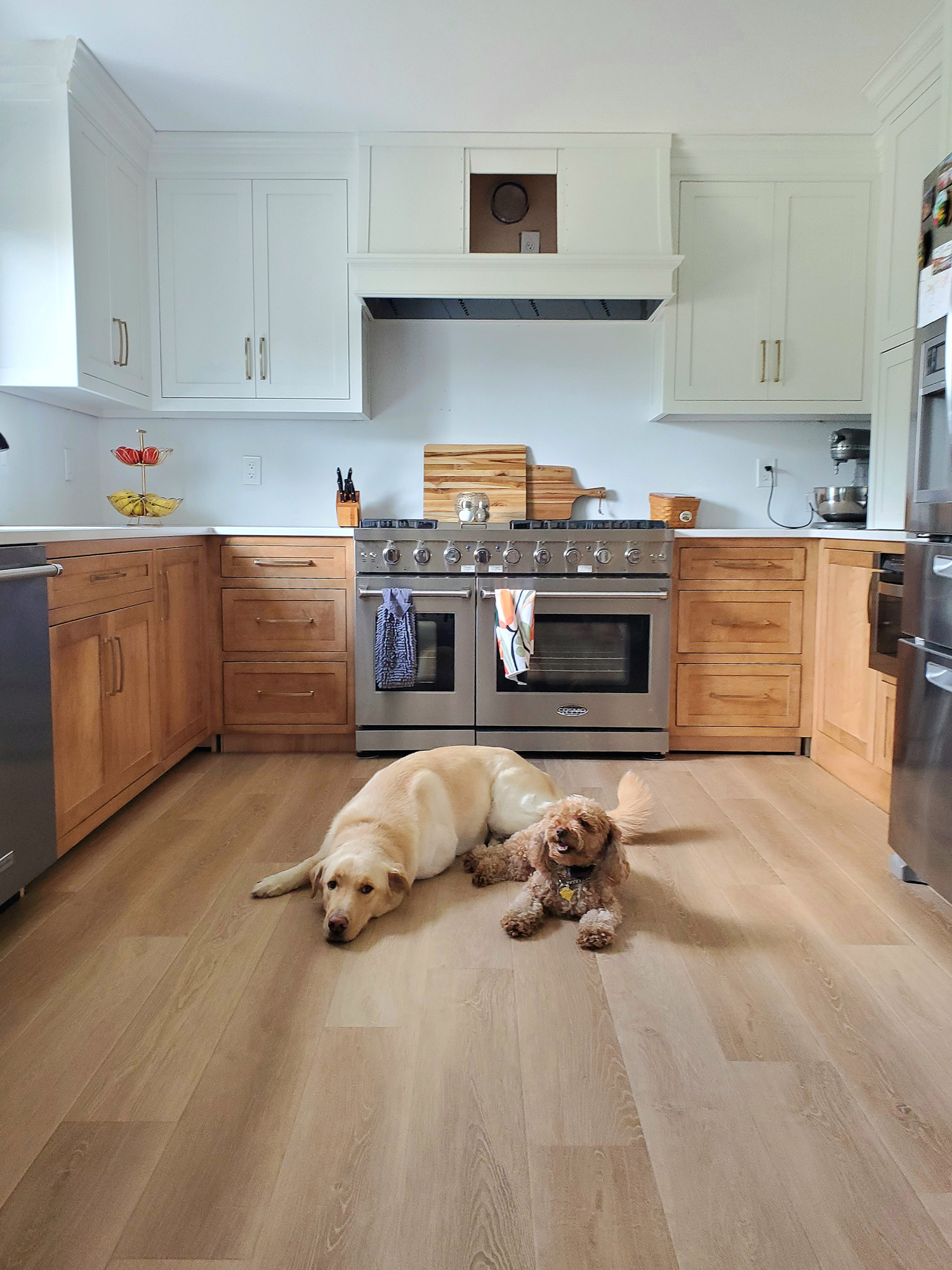 Two dogs lying on luxury vinyl flooring in a kitchen, featured by Yoder & Co. Floors in Columbus, Ohio.