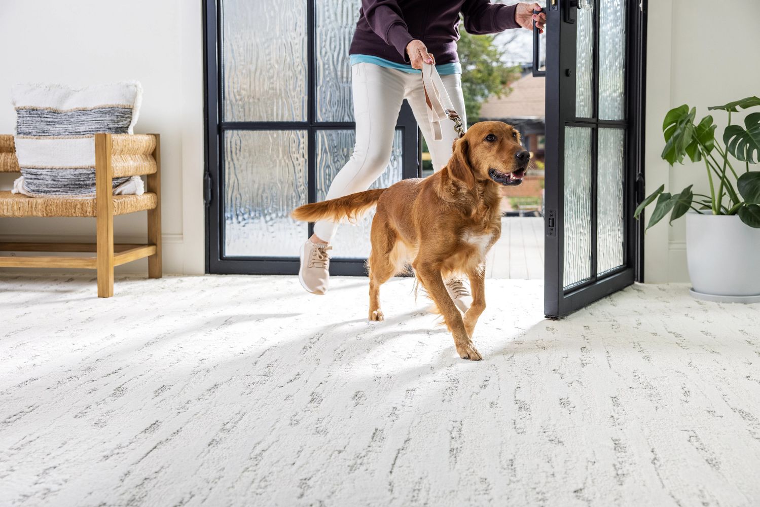 pet-floor