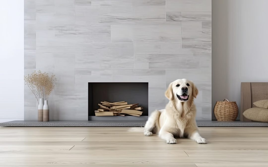 Carpet vs. Luxury Vinyl Flooring: How to Choose the Right Flooring for Your Home and Lifestyle